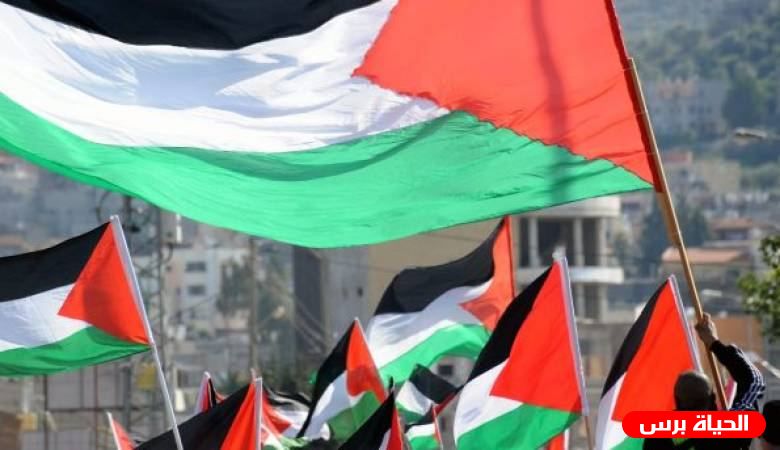 فلسطين تحصد ميداليتين ذهبية وفضية في رياضة الجوجيتسو